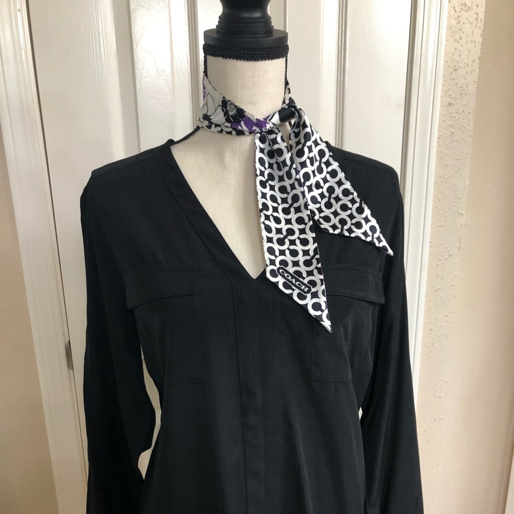 EUC Black Express V Neck Blouse L